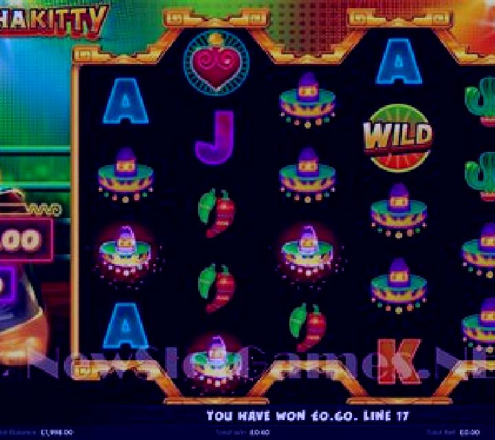 Lucha Kitty slot machine