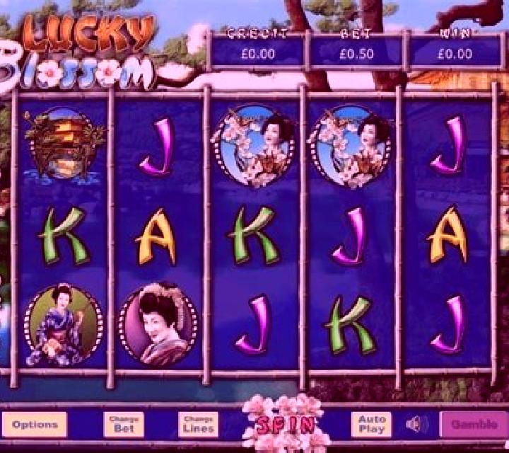 Lucky Blossom slot