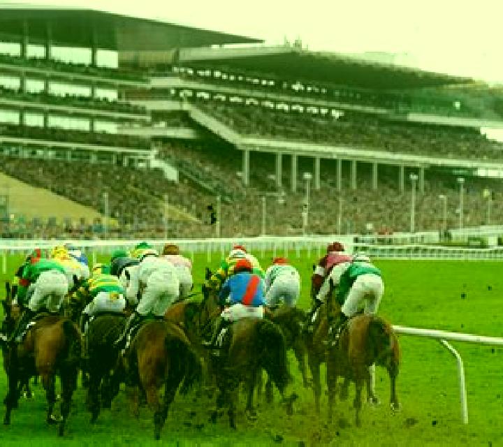 Lucky Day at the Races online slot
