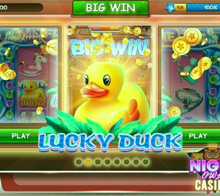 Lucky Duck (Playbro) slot