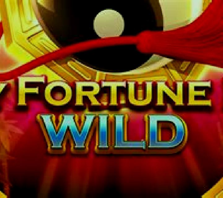 Lucky Fortune Door Wild slot game