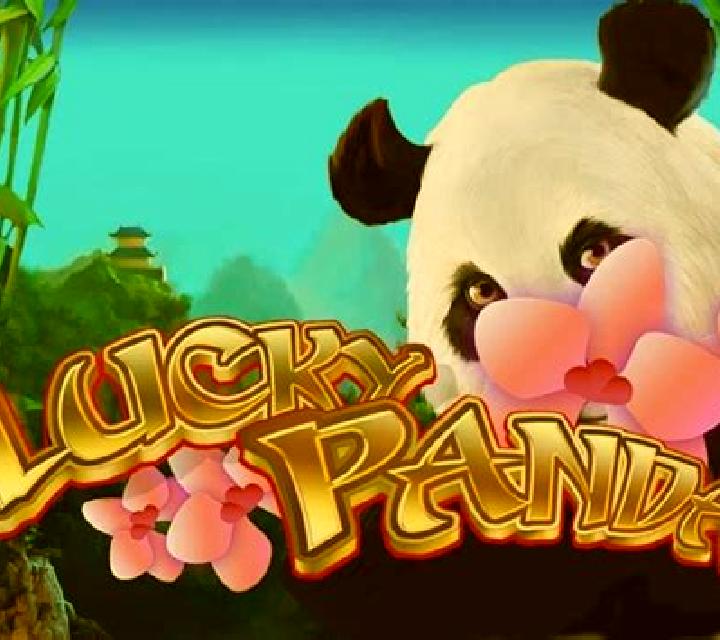 Lucky Panda (Playteh) slot game