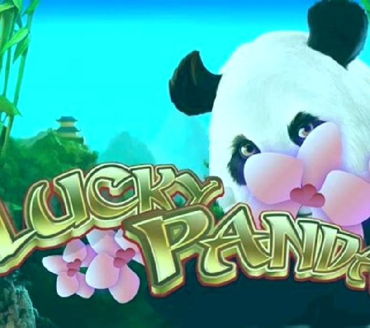 Lucky Panda (Playteh) slot machine