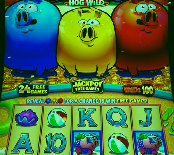 Lucky Piggies slot game