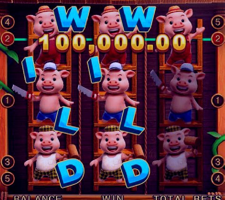 Lucky Pigs slot game
