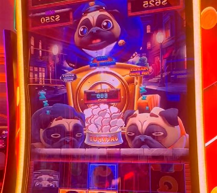 Lucky Pug slot game