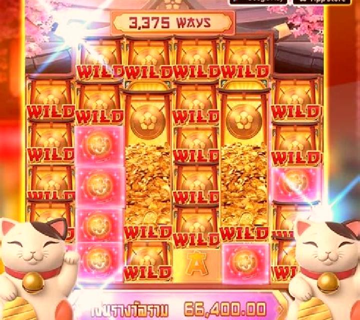 Lucky Sakura Cat slot machine