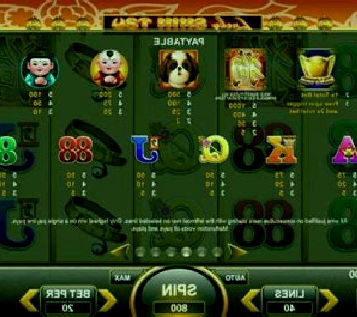 Lucky Shih Tzu online slot