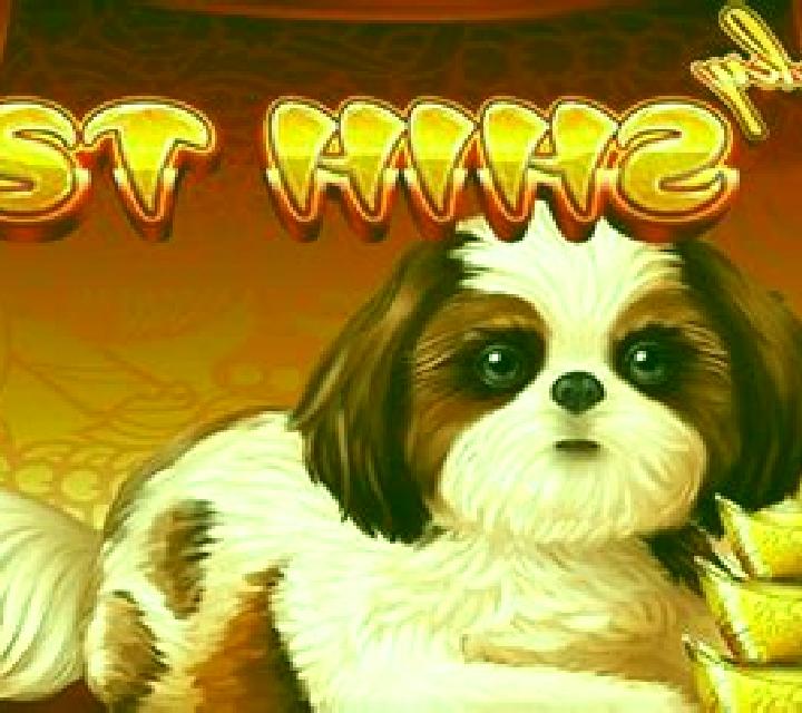 Lucky Shih Tzu slot