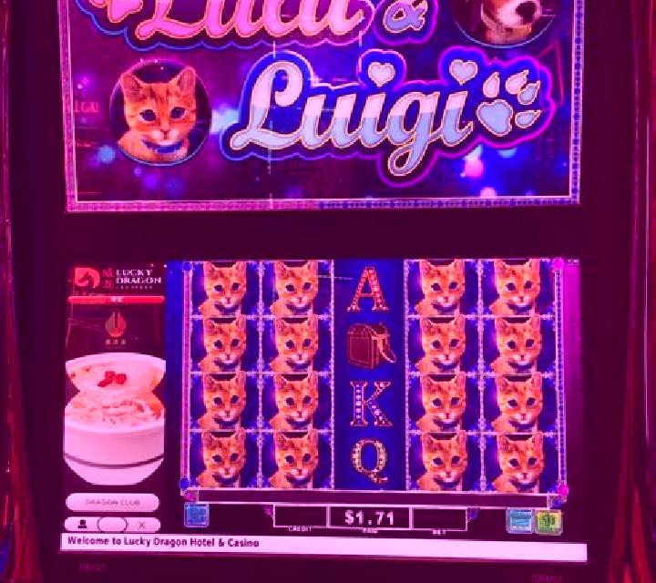 Lulu & Luigi slot game