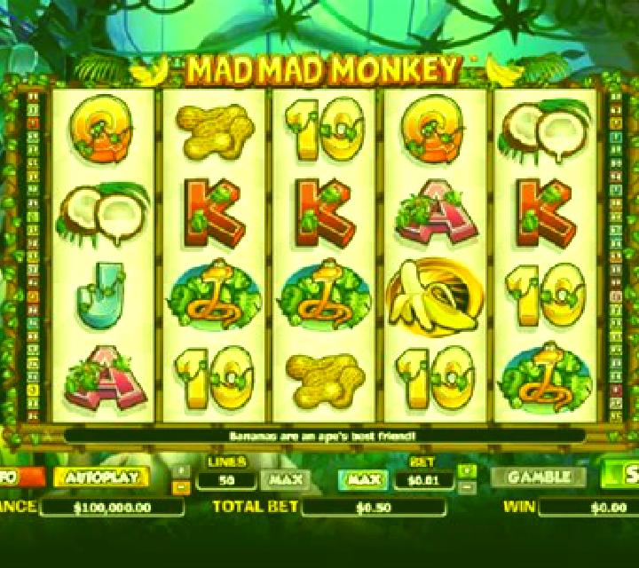 Mad Mad Monkey slot