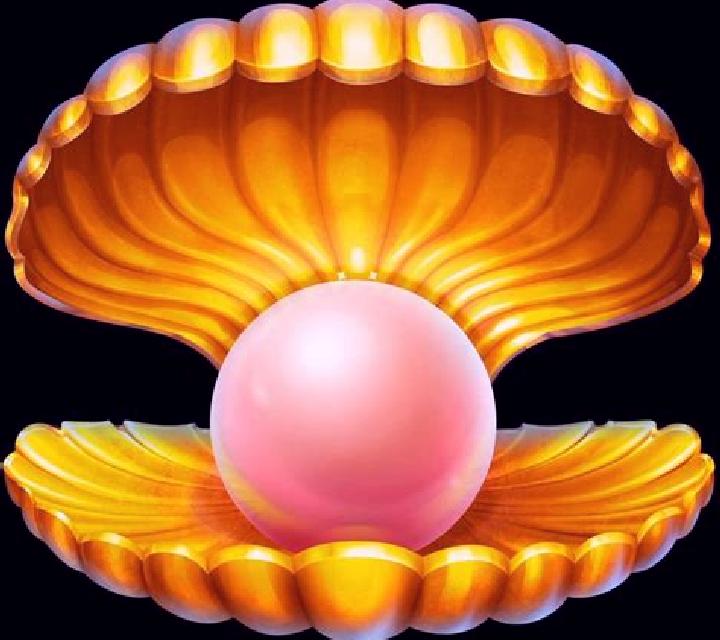 Magic Shells slot