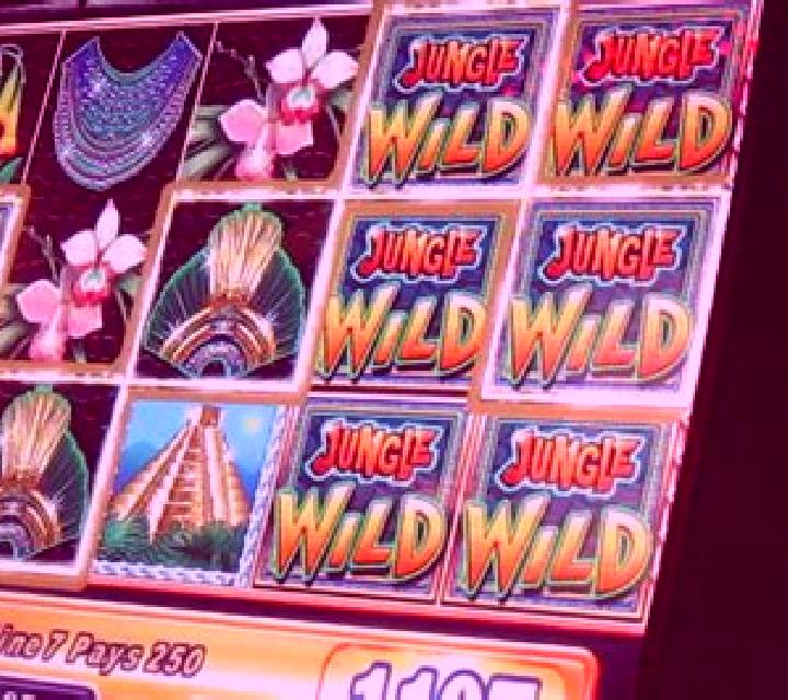 Magnificent Wild slot machine