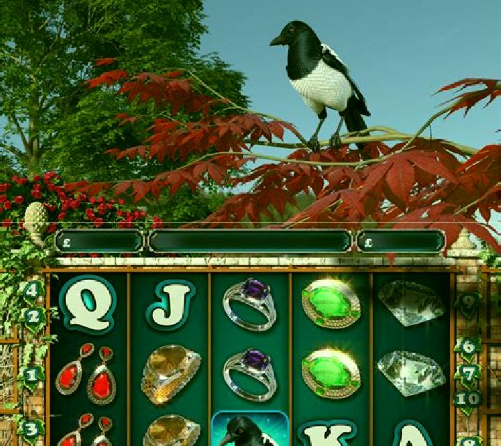 Magpie Mayhem slot machine