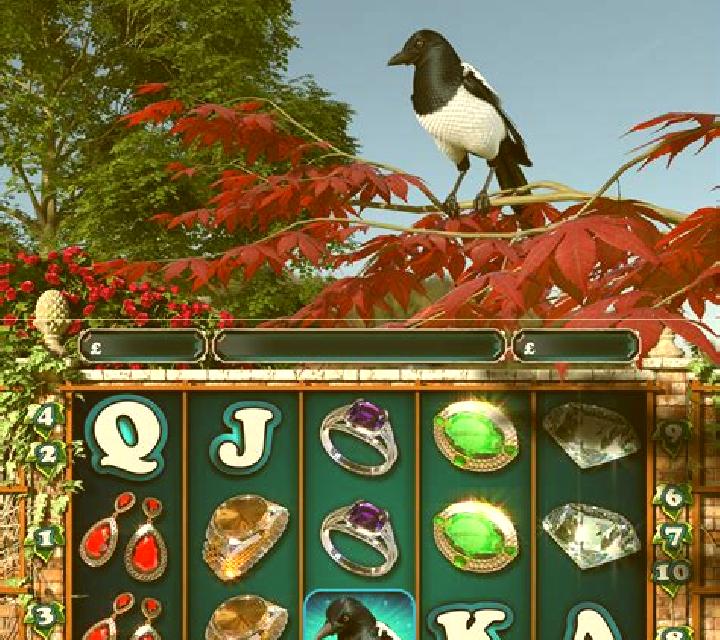 Magpie Mayhem slot