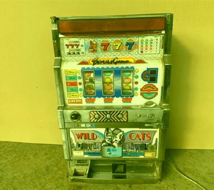 Majestic Cats slot machine