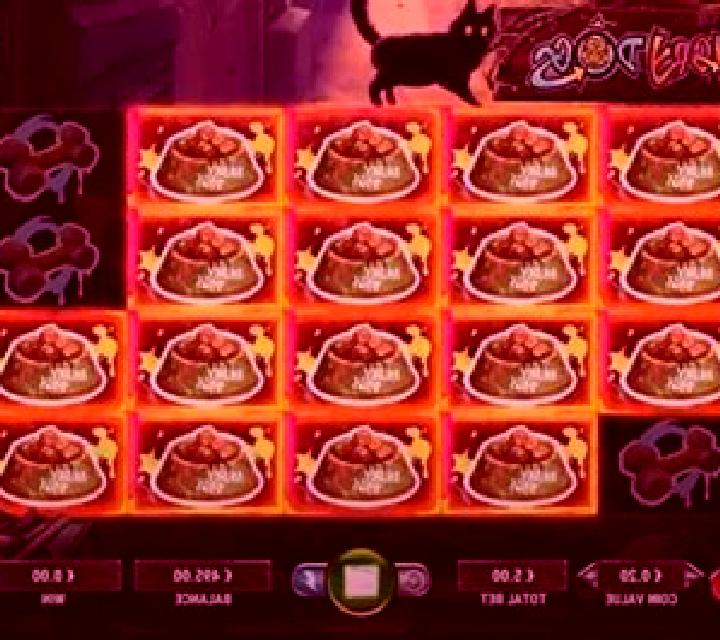 Majestic Cats slot