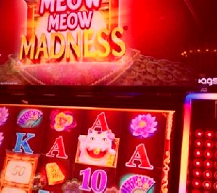 Majestic Meow slot machine