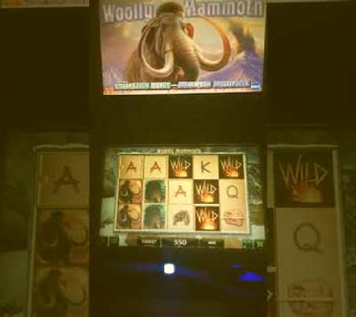 Mammoth (Betsense) slot machine