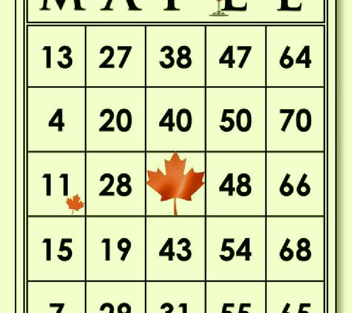 Maple Bingo slot game