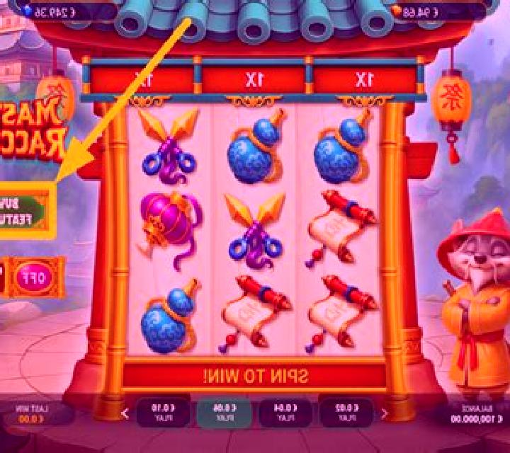Master Raccoon slot