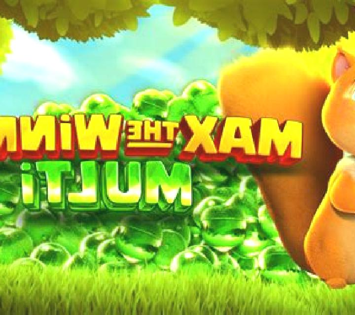 Max the Winner Multi slot game