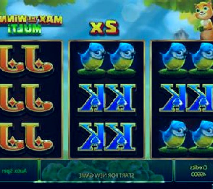 Max the Winner Multi slot