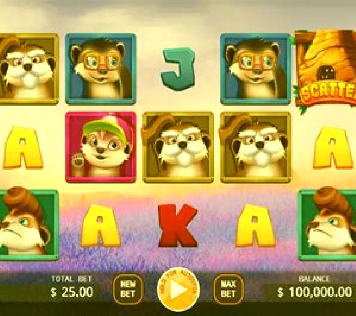 Meerkats Family slot