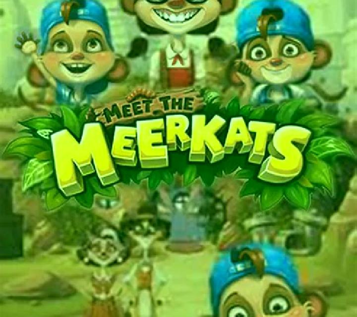 Meet the Meerkats slot