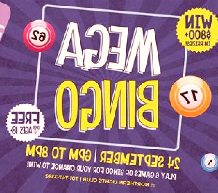 Mega Bingo slot game