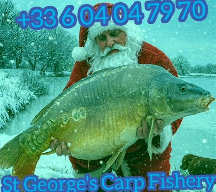 Mega Carp Christmas online slot