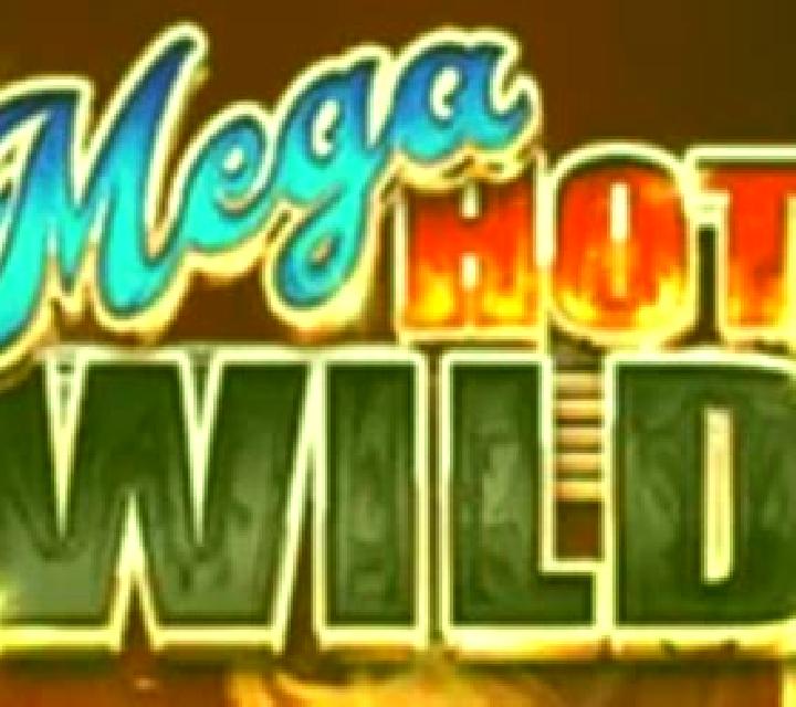 Mega Hot Wild slot game