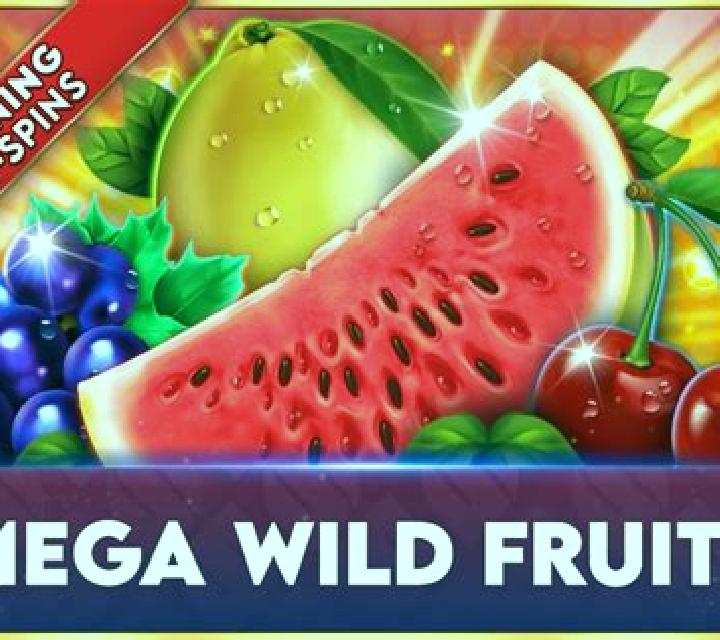 Mega Wild Player slot game