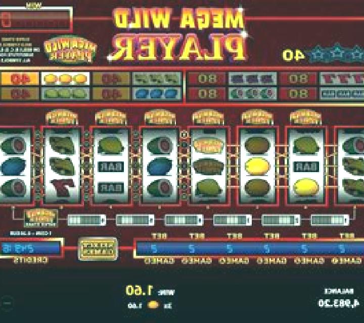 Mega Wild Player slot