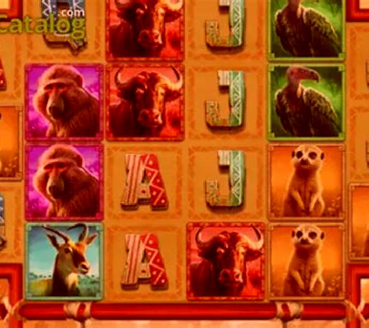 Mega Wild Safari slot
