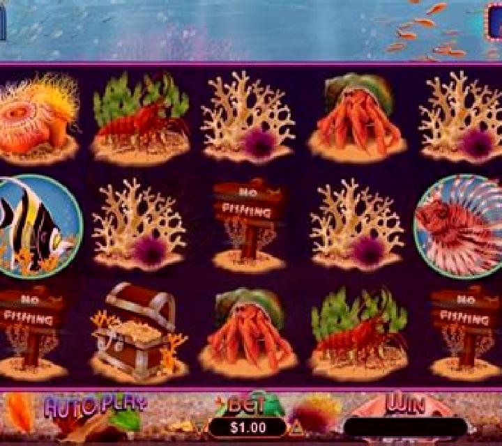 Megaquarium online slot