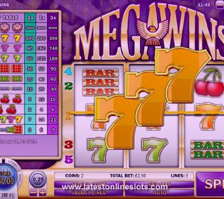Megawins slot machine