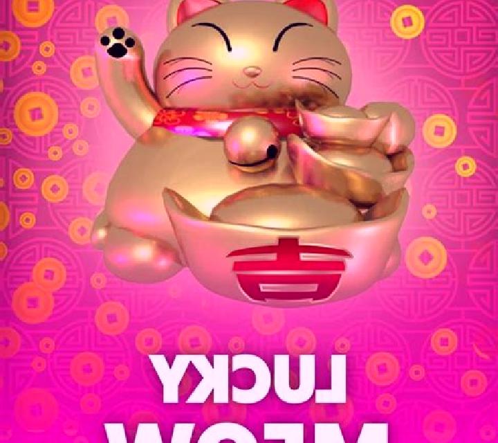 Meow HiLo online slot