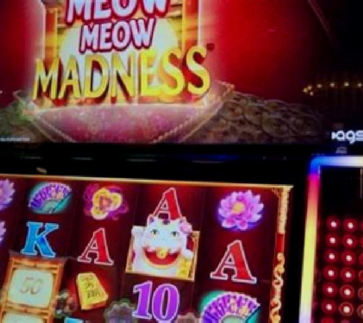 Meow HiLo slot machine