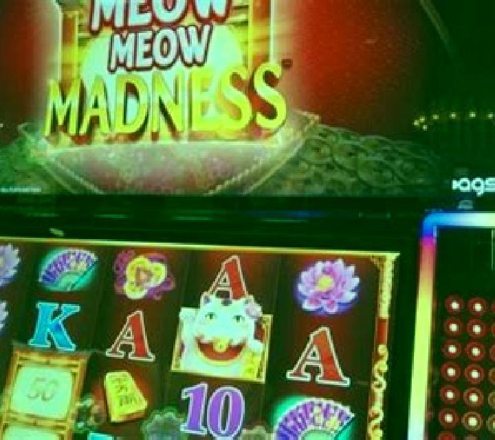 Meow Meow slot game