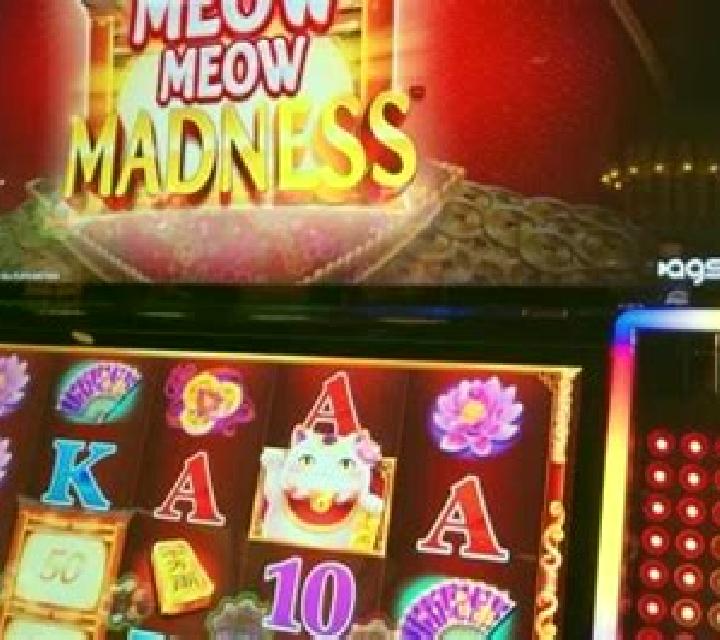 Meow slot machine