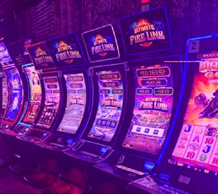 Miami Wild Jack slot machine
