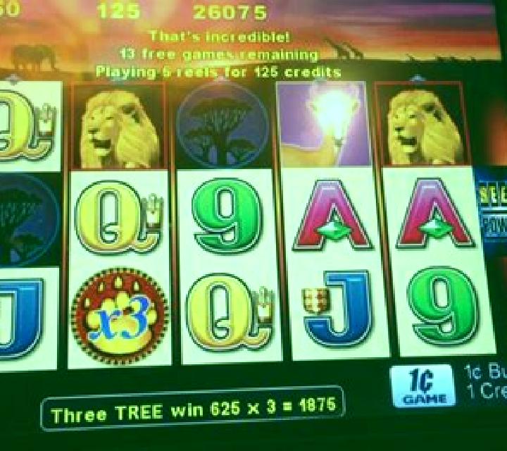 Mighty Africa slot