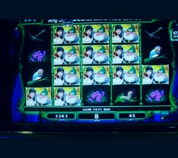 Miss White slot machine