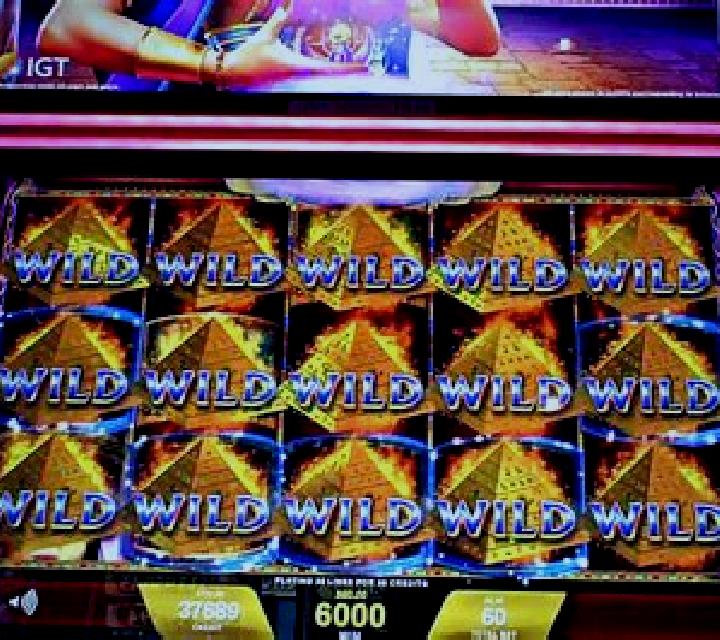 Mistress of Egypt slot machine