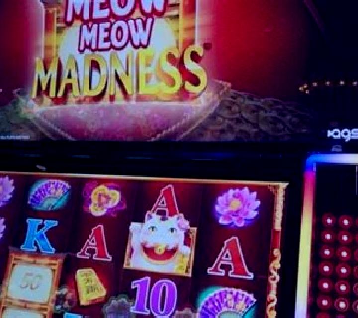 Money Meow slot machine