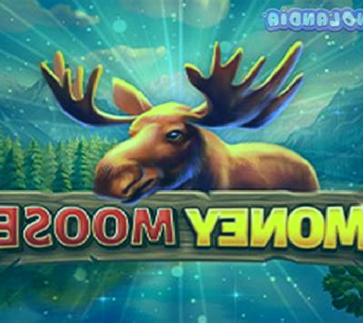 Money Moose slot game