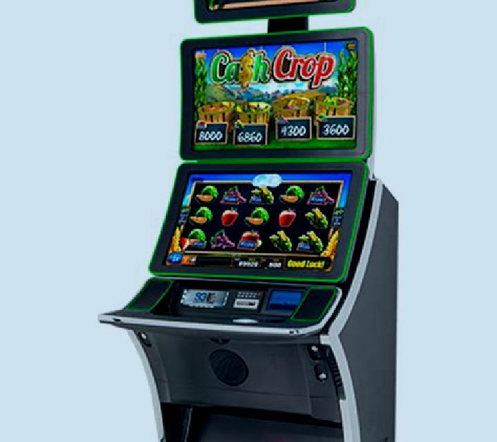Monkey 27 slot machine