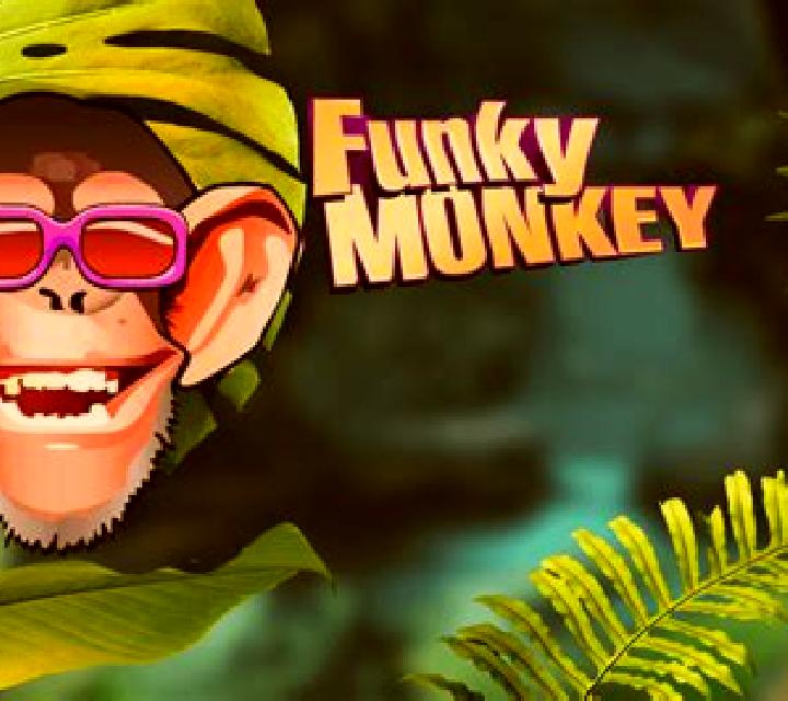 Monkey King (Funky Games) online slot