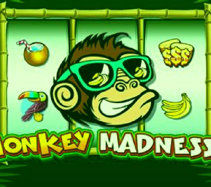 Monkey Madness slot